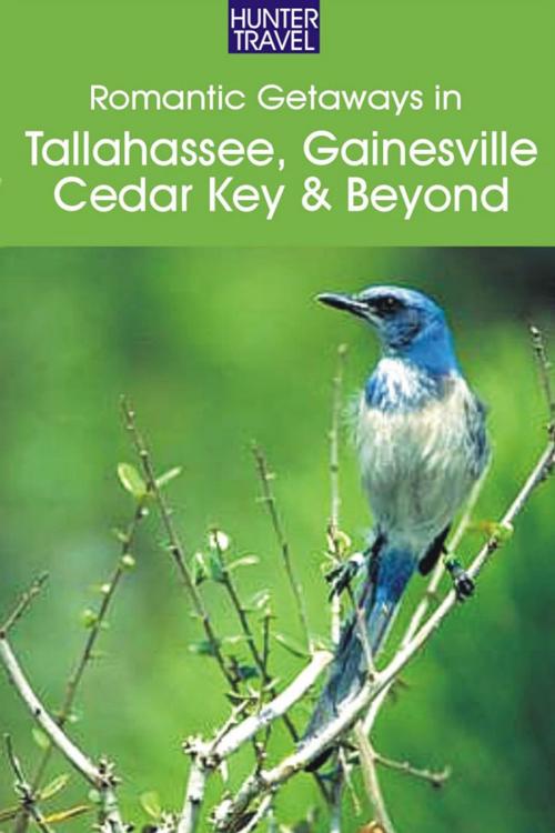 Cover of the book Romantic Getaways: Tallahassee, Gainesville, Cedar Key & Beyond by Janet  Groene, Hunter Publishing, Inc.