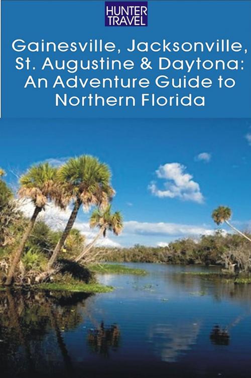 Cover of the book Gainesville, Jacksonville, St. Augustine & Daytona: An Adventure Guide to Northern Florida by Cynthia  Tunstall, Hunter Publishing, Inc.