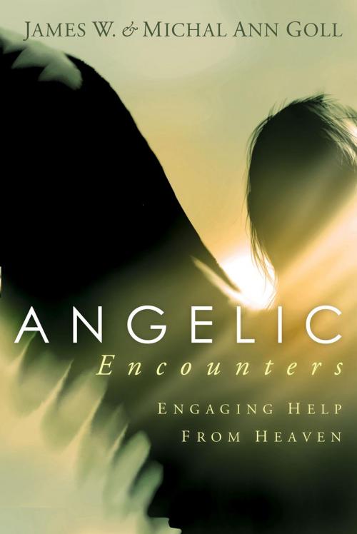Cover of the book Angelic Encounters by James W Goll, Charisma House