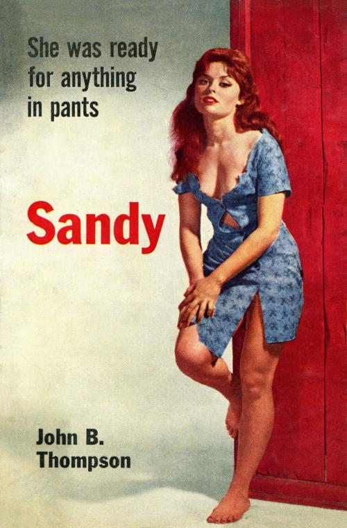 Cover of the book Sandy by John B. Thompson, Blackbird Books