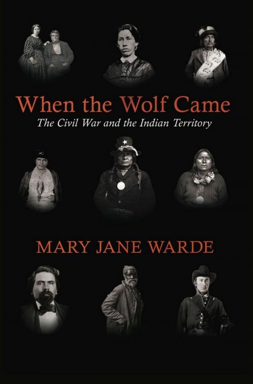 Cover of the book When the Wolf Came by Mary Jane Warde, University of Arkansas Press