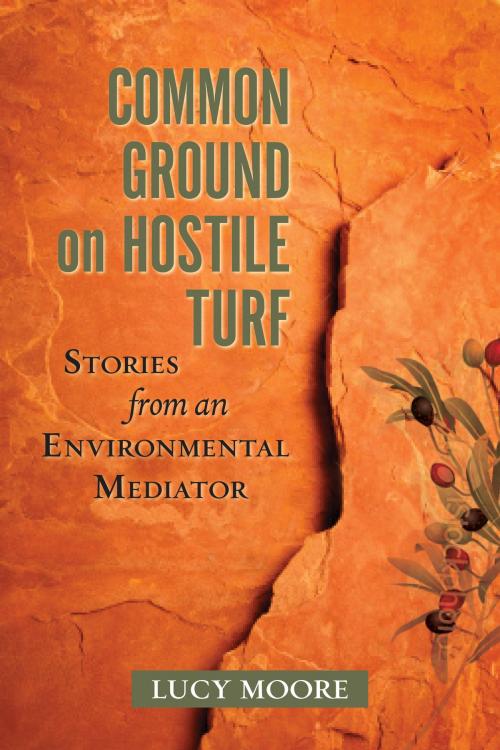 Cover of the book Common Ground on Hostile Turf by Lucy Moore, Island Press