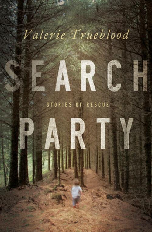 Cover of the book Search Party by Valerie Trueblood, Counterpoint Press