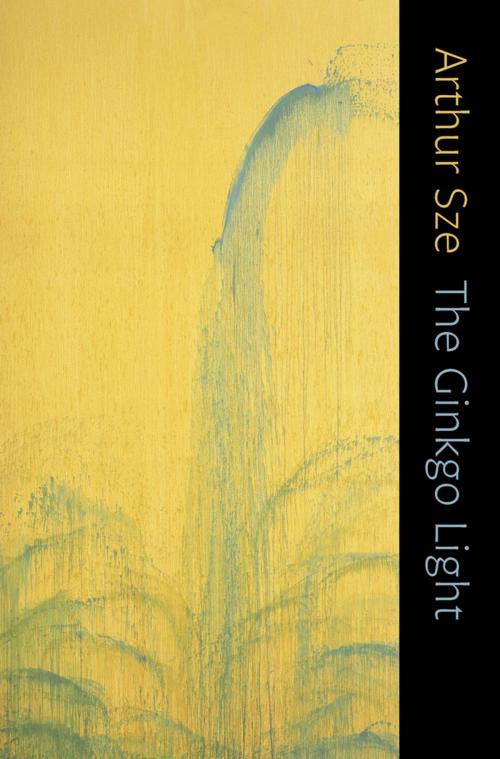 Cover of the book The Ginkgo Light by Arthur Sze, Copper Canyon Press