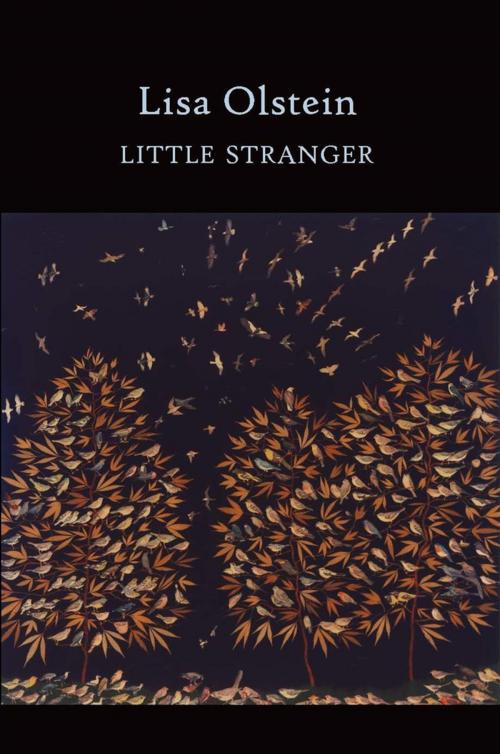 Cover of the book Little Stranger by Lisa Olstein, Copper Canyon Press