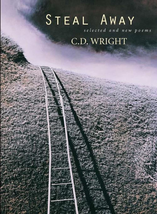 Cover of the book Steal Away by C.D. Wright, Copper Canyon Press