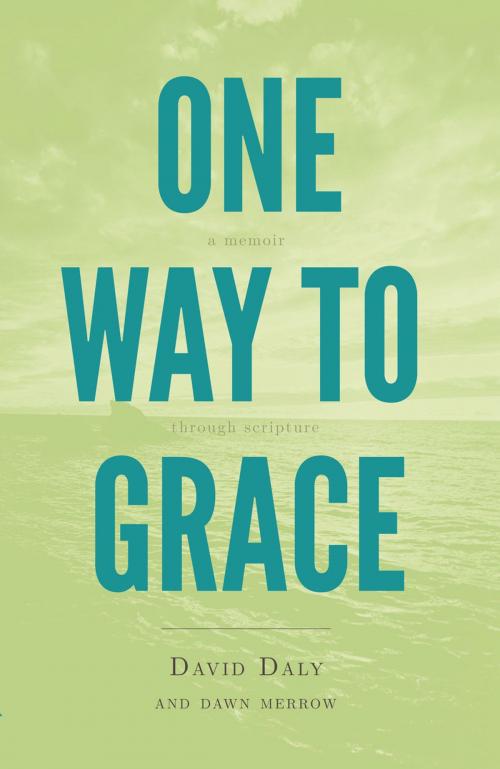 Cover of the book One Way to Grace by David Daly, Dawn Merrow, Ambassador International