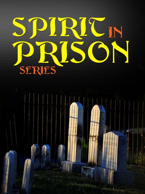 Cover of the book SPIRIT IN PRISON SERIES by ROBERT SMYTHE HICHENS, NETLANCERS INC