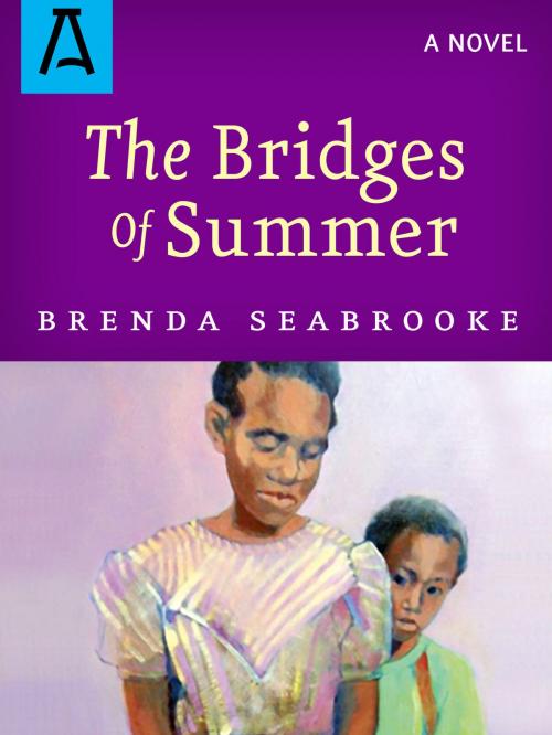 Cover of the book The Bridges of Summer by Brenda Seabrooke, Seabrooke Books
