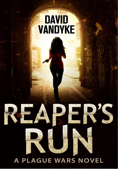 Cover of the book Reaper's Run by David VanDyke, David VanDyke