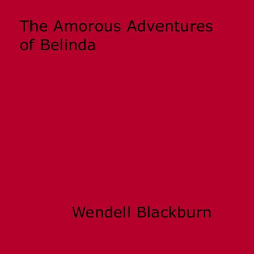 Cover of the book The Amorous Adventures of Belinda by Wendell Blackburn, Disruptive Publishing