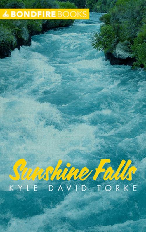 Cover of the book Sunshine Falls by Kyle David Torke, RosettaBooks