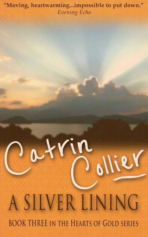 Cover of the book A Silver Lining by Catrin Collier, Accent Press