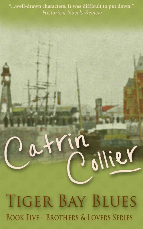 Cover of the book Tiger Bay Blues by Catrin Collier, Accent Press
