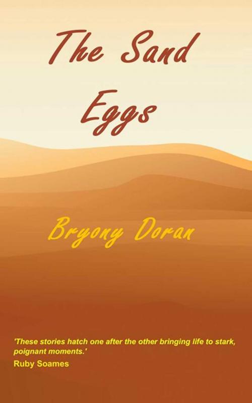 Cover of the book The Sand Eggs by Bryony Doran, Start Publishing LLC