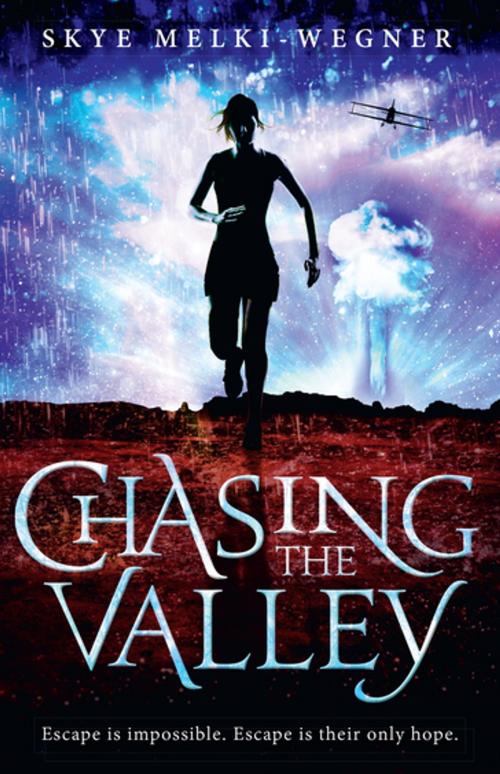 Cover of the book Chasing the Valley by Skye Melki-Wegner, Penguin Random House Australia