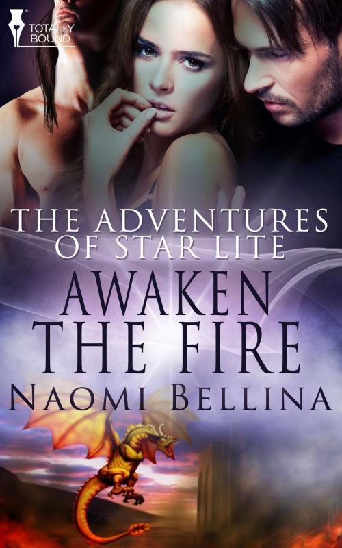 Cover of the book Awaken the Fire by Naomi Bellina, Totally Entwined Group Ltd
