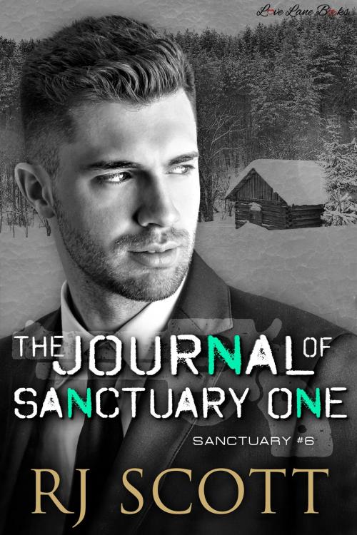Cover of the book The Journal of Sanctuary One by RJ Scott, Love Lane Books Ltd