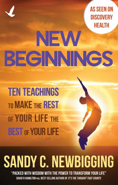 Cover of the book New Beginnings by Sandy C. Newbigging, Inner Traditions/Bear & Company