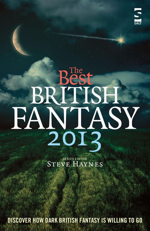 Cover of the book The Best British Fantasy 2013 by Steve Haynes, Salt Publishing Limited