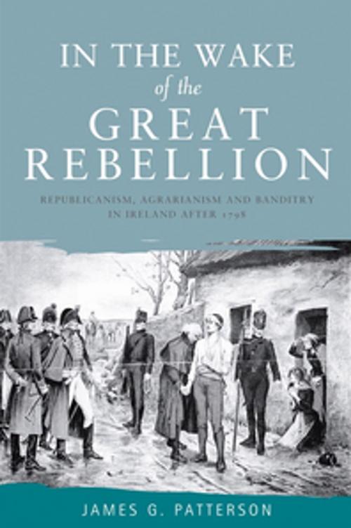 Cover of the book In the wake of the great rebellion by James Patterson, Manchester University Press