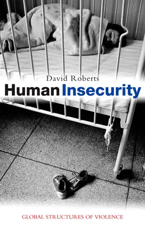 Cover of the book Human Insecurity by David Roberts, Zed Books