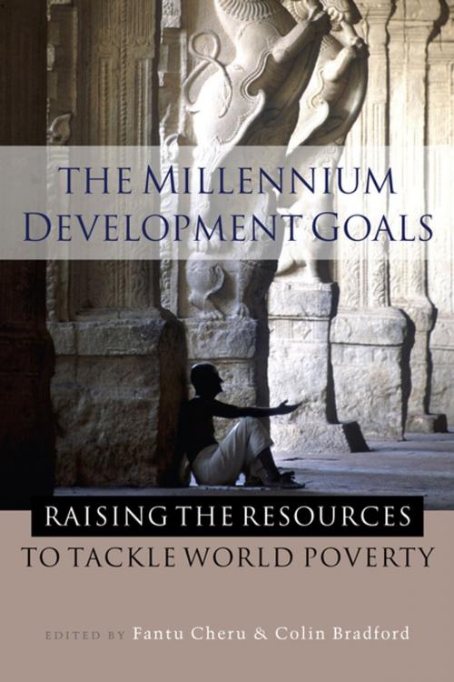Cover of the book The Millennium Development Goals by , Zed Books