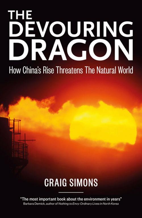 Cover of the book The Devouring Dragon by Craig Simons, Awa Press