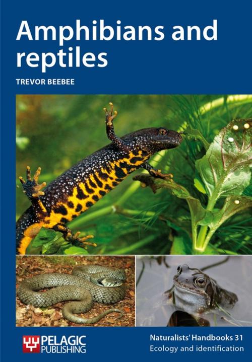 Cover of the book Amphibians and reptiles by Trevor J. C. Beebee, Pelagic Publishing