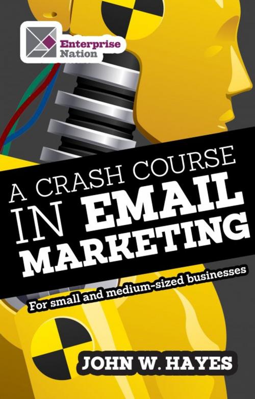 Cover of the book A Crash Course in Email Marketing for Small and Medium-sized Businesses by John W. Hayes, Harriman House