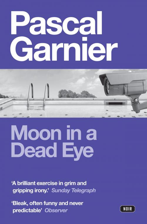 Cover of the book Moon in a Dead Eye by Pascal Garnier, Gallic Books