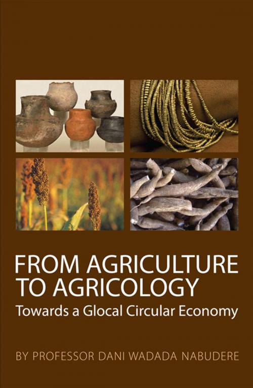 Cover of the book From Agriculture to Agricology by Professor Dani Wadada Nabudere, Real African Publishers