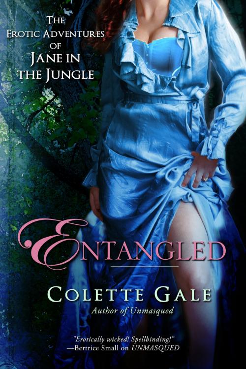 Cover of the book Entangled: An Unexpected Triangle by Colette Gale, Avid Press