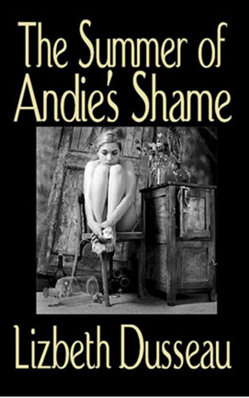 Cover of the book The Summer of Andie's Shame by Lizbeth Dusseau, Pink Flamingo