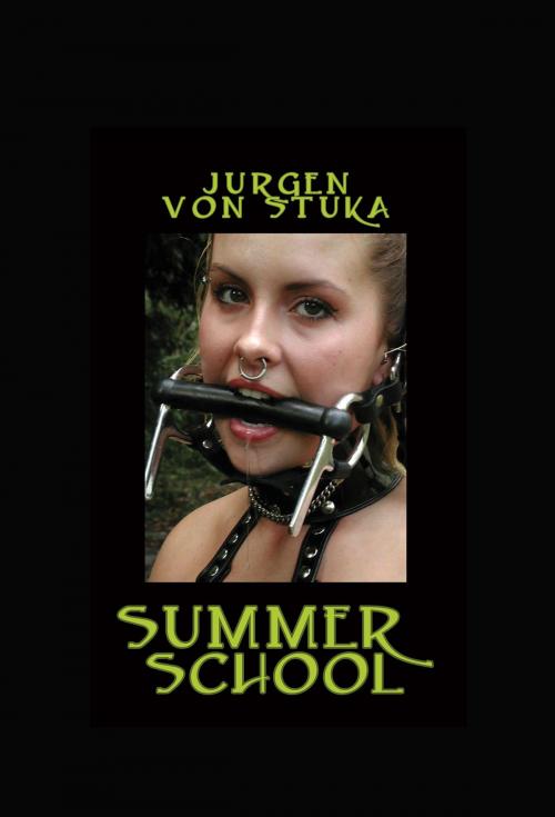 Cover of the book Summer School by Jurgen von Stuka, Pink Flamingo