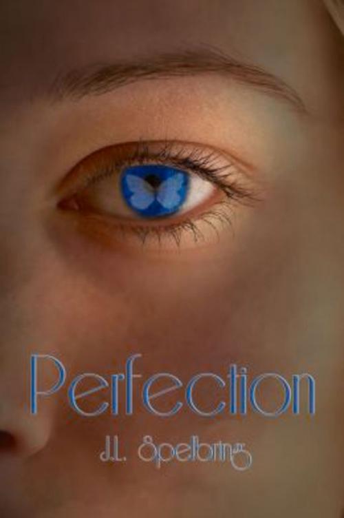 Cover of the book Perfection by JL Spelbring, Spencer Hill Press