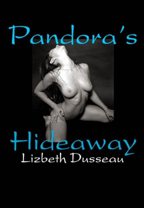 Cover of the book Pandora's Hideaway by Lizbeth Dusseau, Pink Flamingo