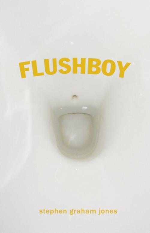 Cover of the book Flushboy by Stephen Graham Jones, Dzanc Books