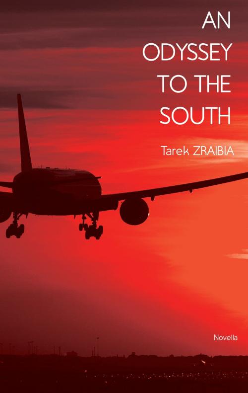 Cover of the book An odessey to the south by Tarek Zraibia, Books on Demand