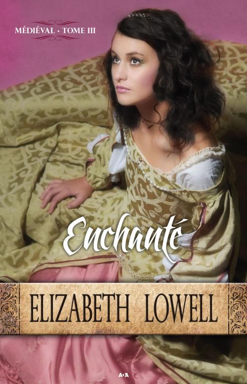 Cover of the book Enchanté by Elizabeth Lowell, Éditions AdA