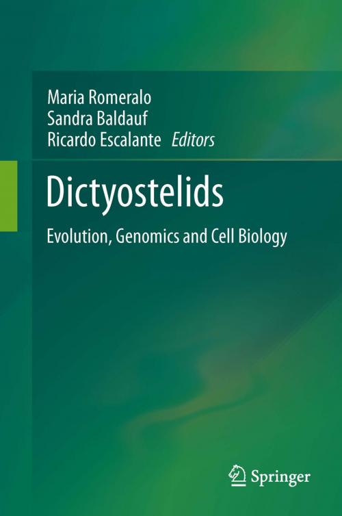Cover of the book Dictyostelids by , Springer Berlin Heidelberg