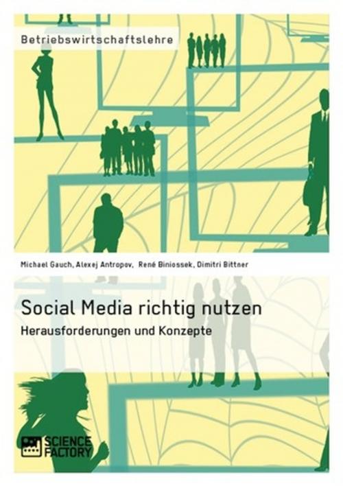 Cover of the book Social Media richtig nutzen by Michael Gauch, René Biniossek, Dimitri Bittner, Alexej Antropov, Science Factory
