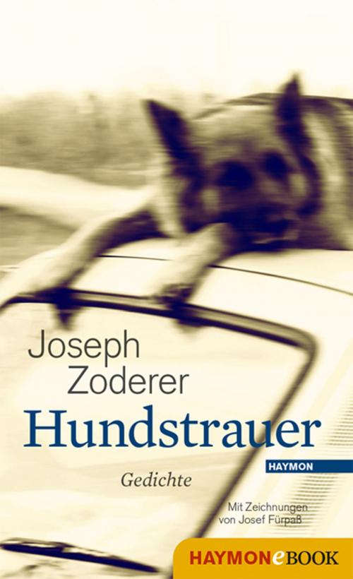 Cover of the book Hundstrauer by Joseph Zoderer, Haymon Verlag