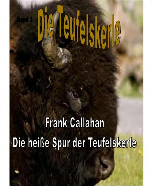 Cover of the book Die heiße Spur der Teufelskerle by Frank Callahan, BookRix