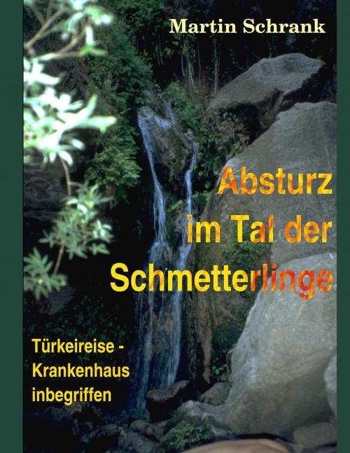Cover of the book Absturz im Tal der Schmetterlinge by Martin Schrank, Books on Demand
