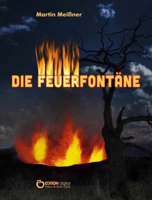 Cover of the book Die Feuerfontäne by Martin Meißner, EDITION digital