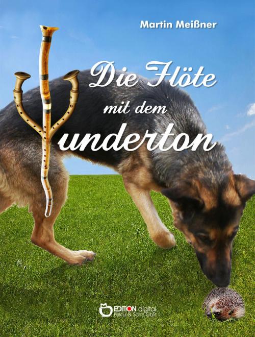 Cover of the book Die Flöte mit dem Wunderton by Martin Meißner, EDITION digital