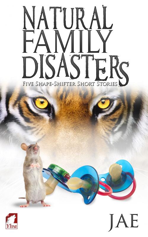 Cover of the book Natural Family Disasters by Jae, Ylva Publishing