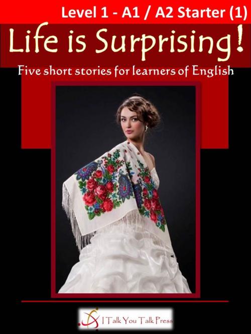 Cover of the book Life is Surprising! by I Talk You Talk Press, I Talk You Talk Press