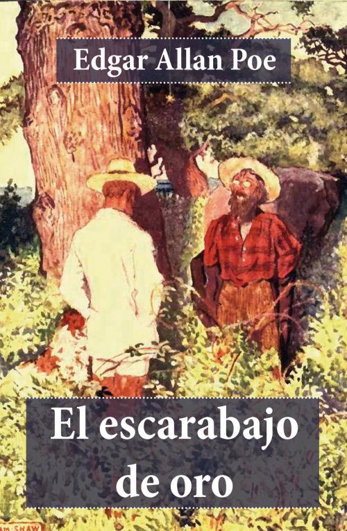 Cover of the book El escarabajo de oro by Edgar  Allan Poe, e-artnow Ediciones